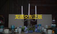 龙猫交友正版